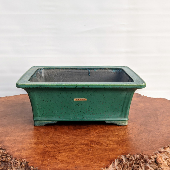 13" Koyo Tokoname Pot (TK-33)