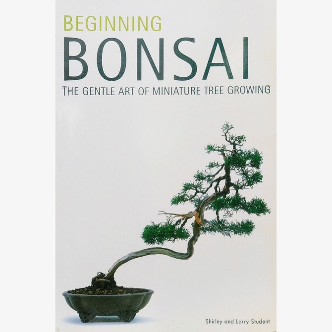 Beginning Bonsai - Shirley and Larry Student