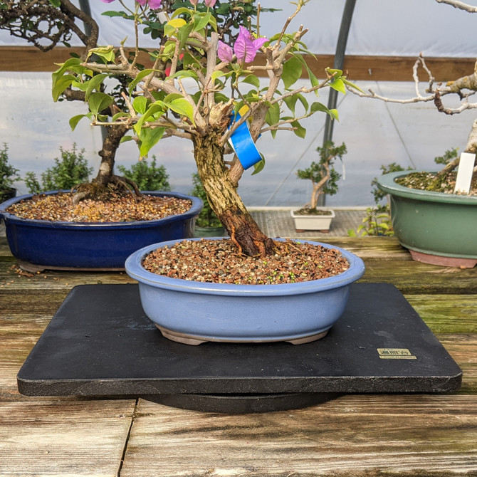 Medium 15" Outdoor / Indoor Bonsai Turntable