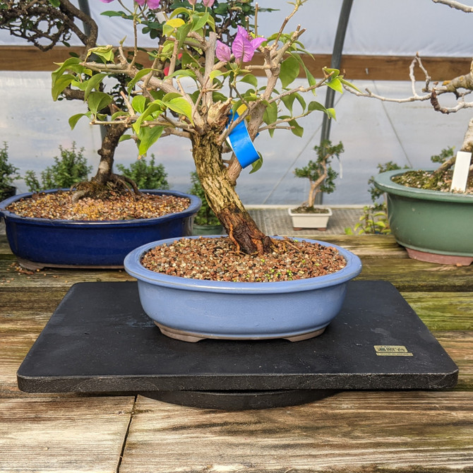 Medium 15" Outdoor / Indoor Bonsai Turntable