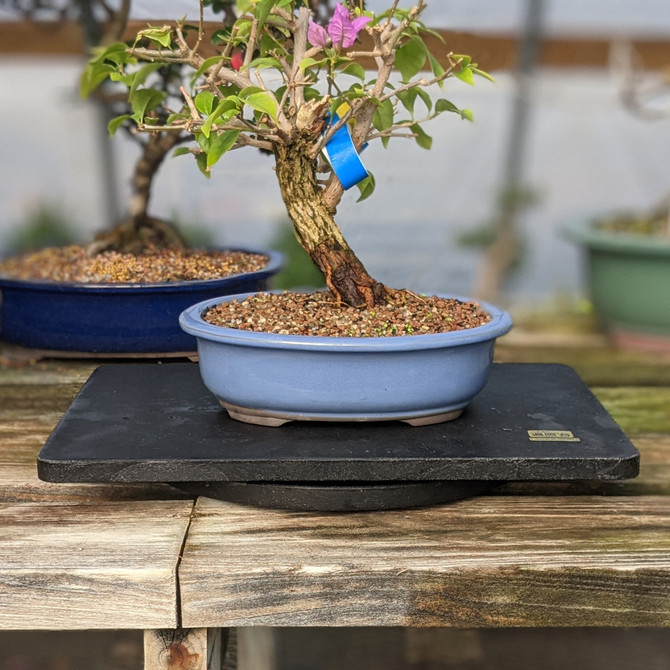 Medium 15" Outdoor / Indoor Bonsai Turntable