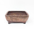 6" Glazed Ceramic Bonsai Pots (Choose Style)