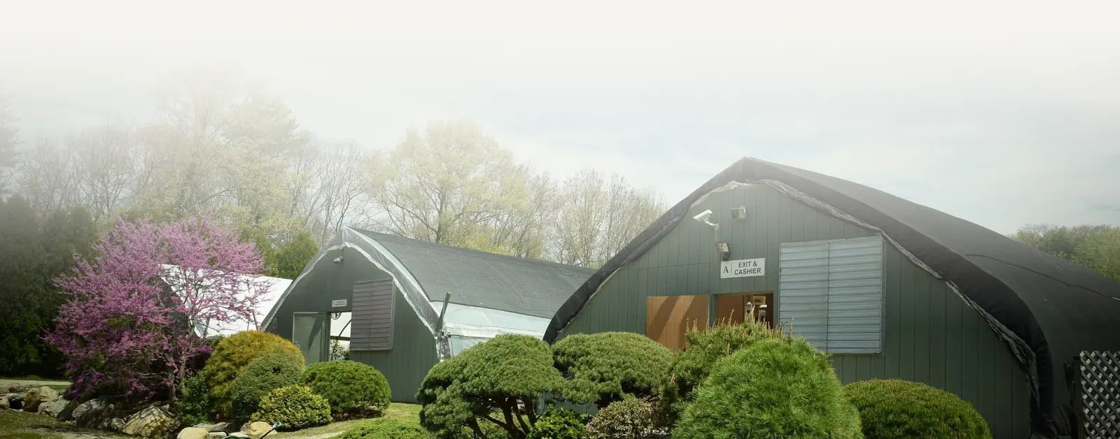 Interior view of Bonsai Outlet's greenhouses filled with cultivated bonsai trees