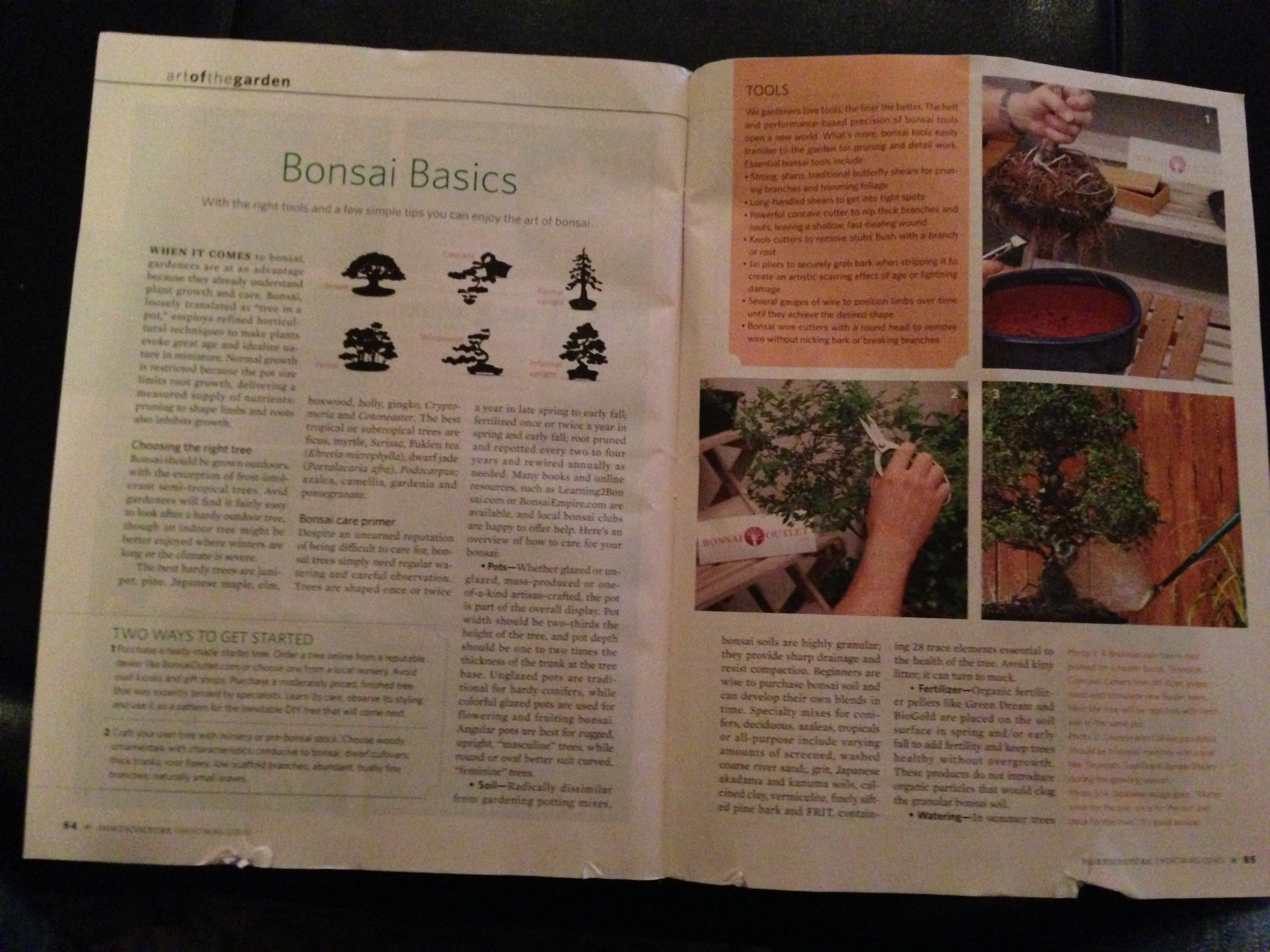 Early Bonsai Outlet magazine feature