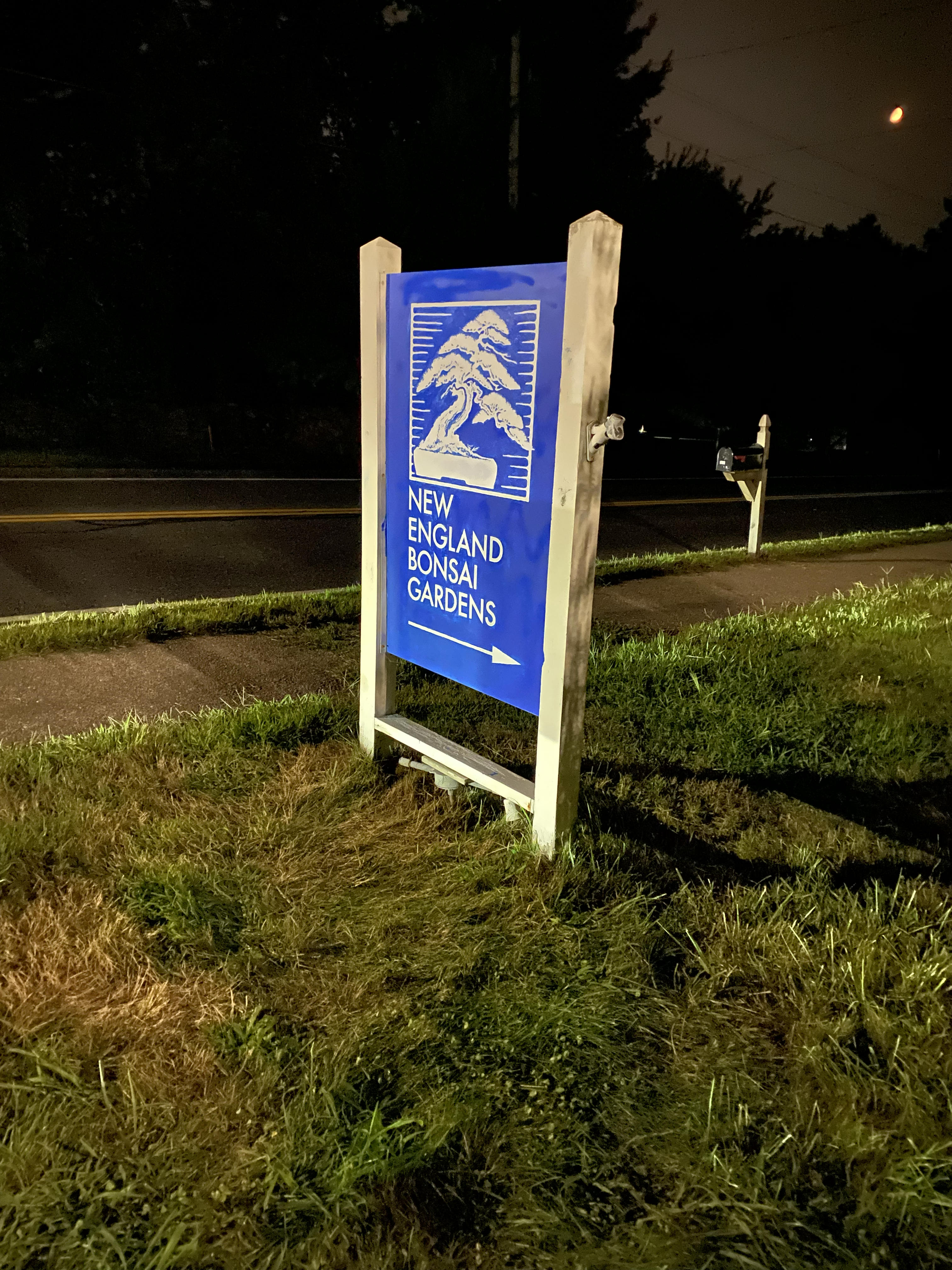 New England Bonsai Street Sign on South Main Street