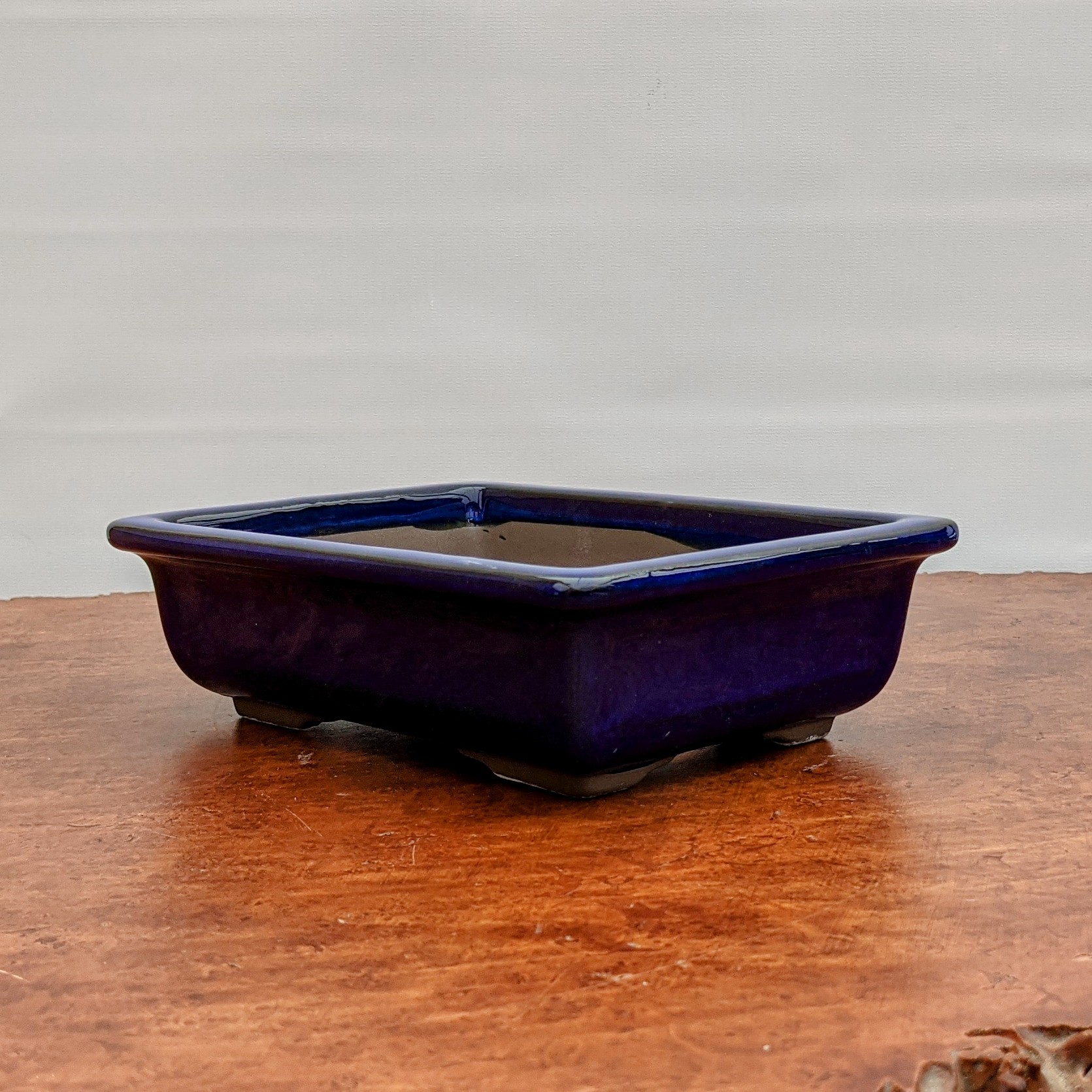 超大型　盆栽鉢(藍色)　BONSAI POT 61x9hNfBpvL._UF350,350_QL50_.jpg
