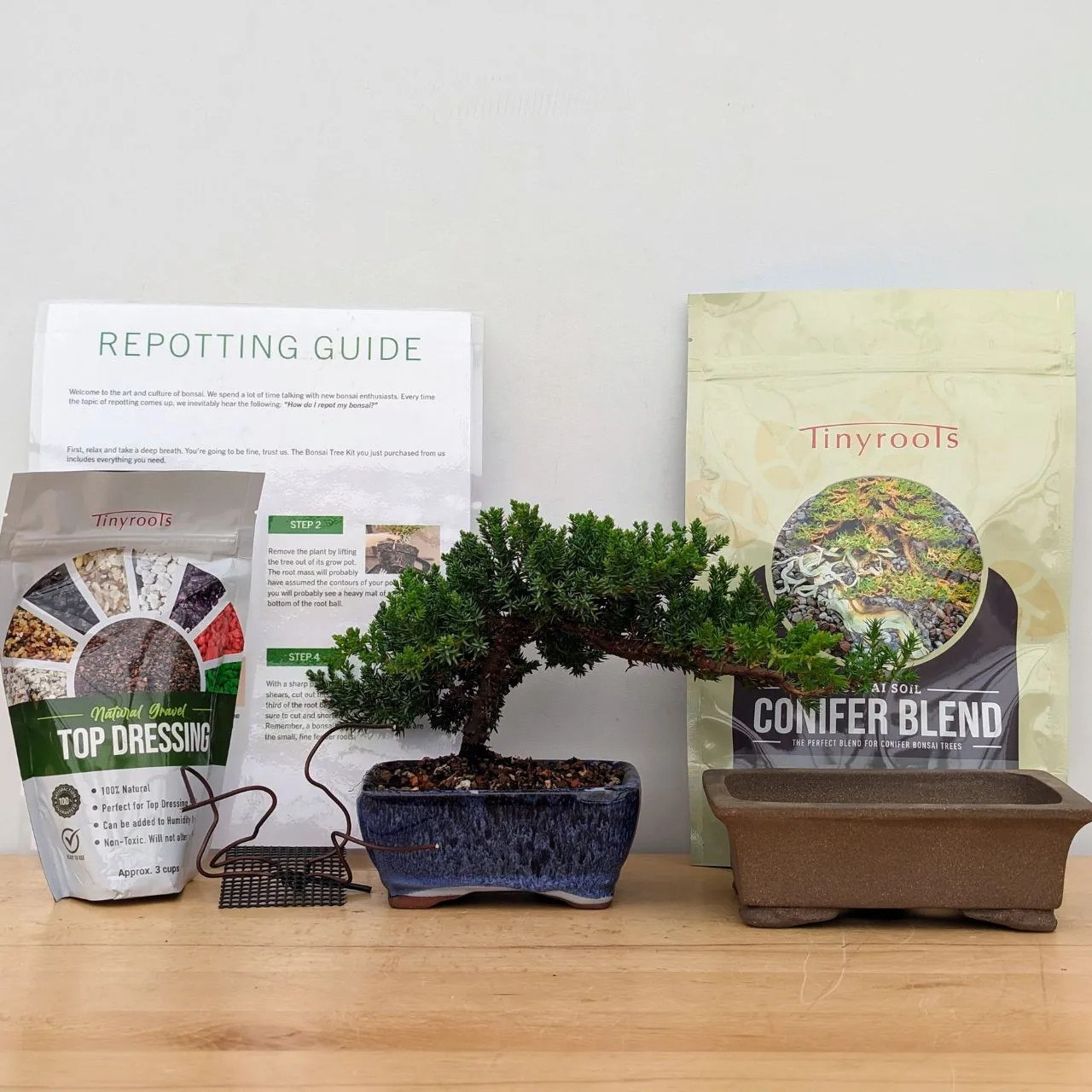 Buy Bonsai Starter Kit - DIY Bonsai Gardening Gift - Garden