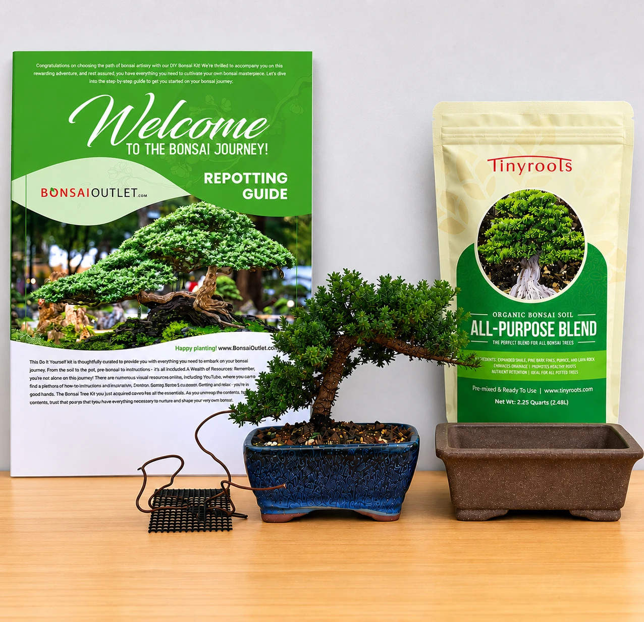 BONSAIページ Juniper Bonsai DIY Kit