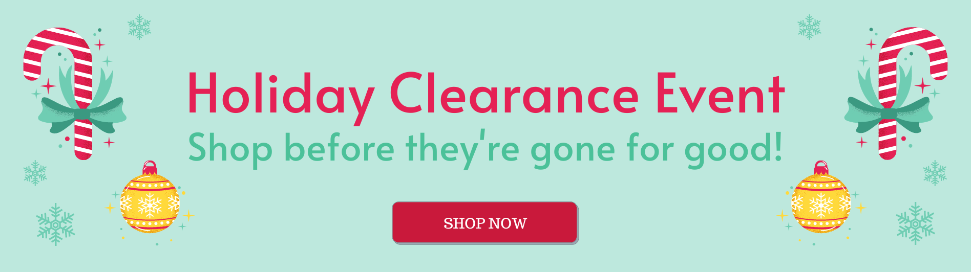 Bonsai Tree Bamboo Plants Indoor, Outdoor Pots and Tools