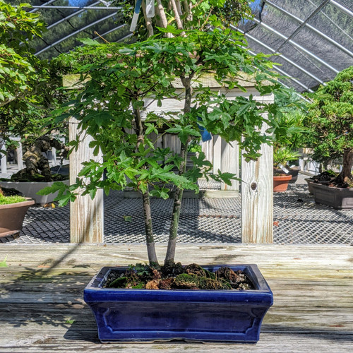 00000IMG_00000_BURST2020082613