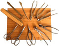 A detailed, professional-grade 11-piece Tinyroots Ultimate Package Stainless Steel Bonsai Tool Kit (model TRK-07) is artfully displayed on its light-colored bamboo storage case. 

The high-quality, polished stainless steel tools are arranged in a radial pattern around the engraved "Tinyroots" logo in the center of the wooden board. The set includes a comprehensive selection of essential bonsai maintenance tools: various sizes of long-handled pruning shears and butterfly-style bonsai scissors, concave cutters for clean branch removal, knob cutters, and wire cutters. Specialized instruments are also featured, such as a precision root rake with a spatula end, a sharp bonsai grafting knife, fine-tip tweezers, and a folding bonsai saw with a wooden handle. Each tool showcases a sleek, ergonomic design intended for the delicate art of bonsai cultivation.