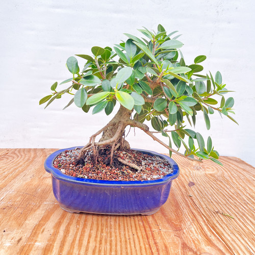 20221216_174655999_iOS__78874.