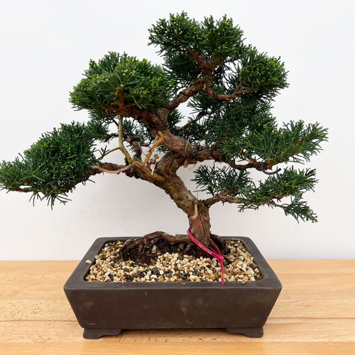 IMG_6879__23761.1681136606.500