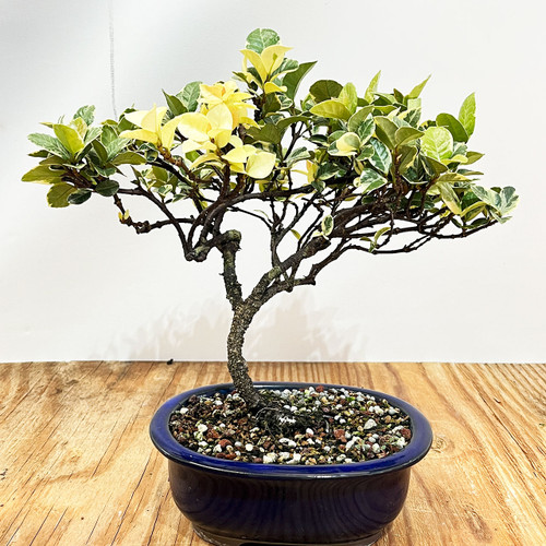 20230728_160554942_iOS__55814.