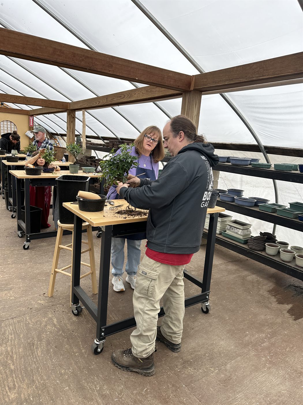 Jamie Prevosk showing a student the root work on a tree during a workshop