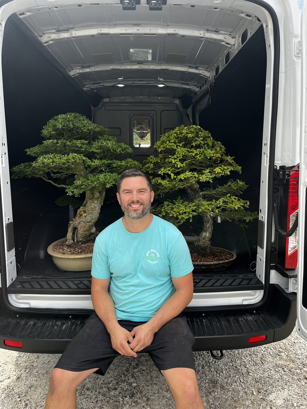 Peter Olson seated at the back of a van loaded with two mature elm bonsai