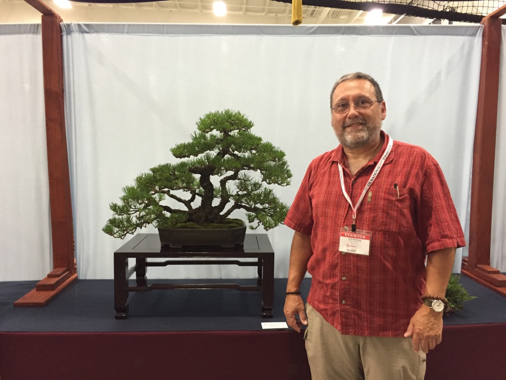 John Romano standing beside an exhibited Japanese black pine bonsai