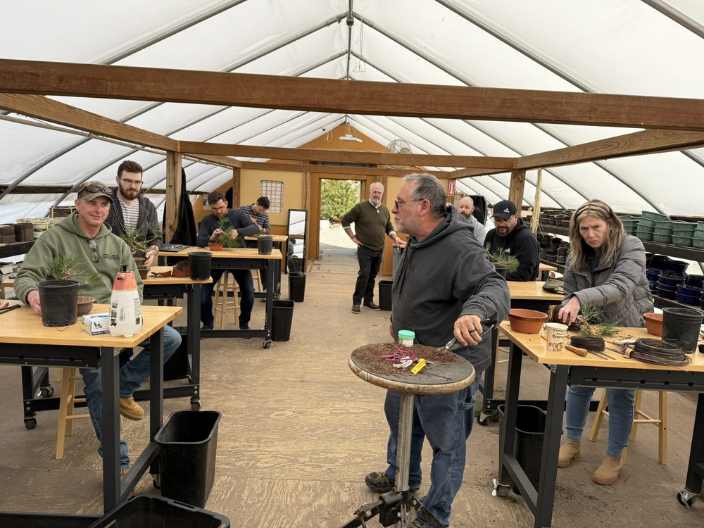 A workshop in full swing, students at benches across the greenhouse