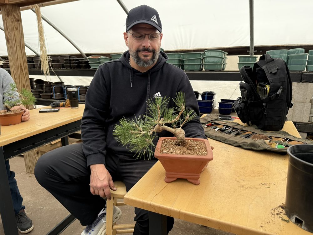 A student with the pine bonsai he potted and styled