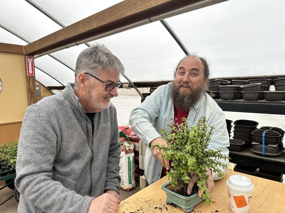 An instructor helping a student work on their tree