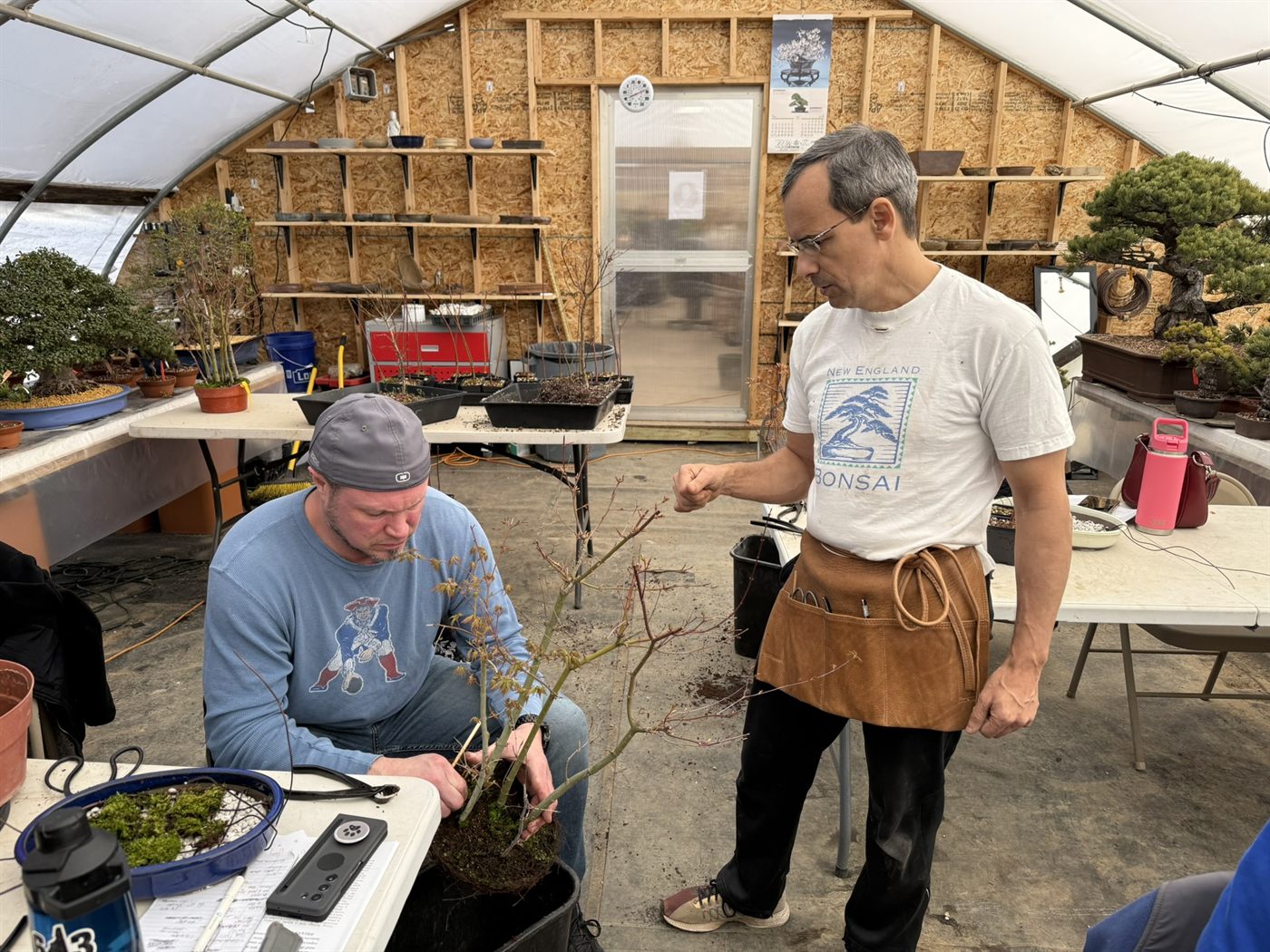 Lou Carreiro guiding a student through work on a Japanese maple