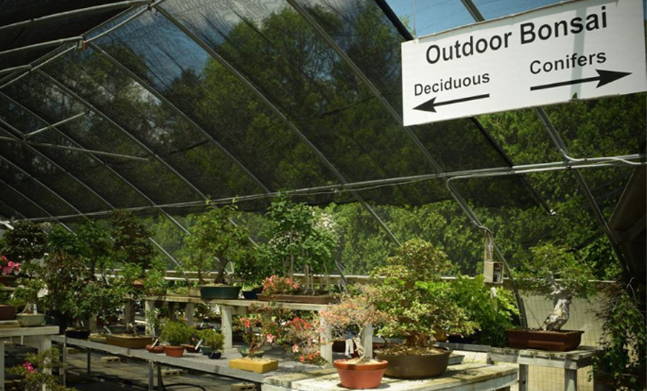 Outdoor bonsai nursery and greenhouse