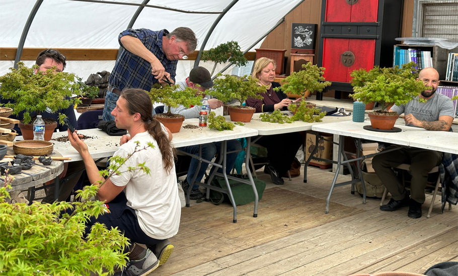 A group taking part in a bonsai workshop