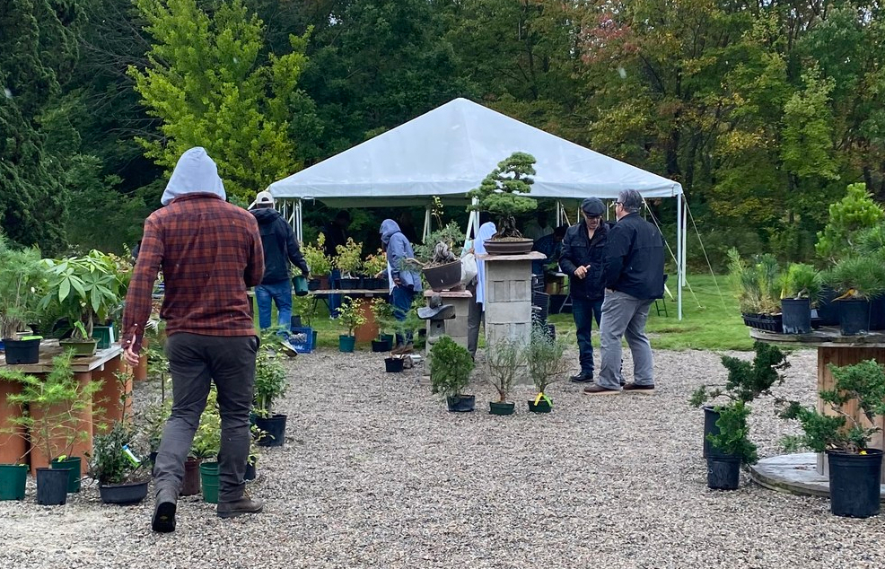 Bonsai enthusiasts receiving hands-on help