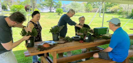 Bonsai Gallery