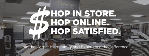 VZ621 - 2013 Jenny Mint Single Stamp