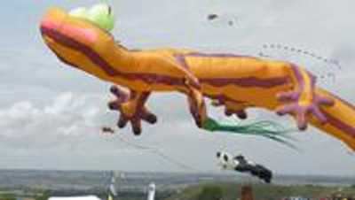 Dunstable Downs kite Festival 2014