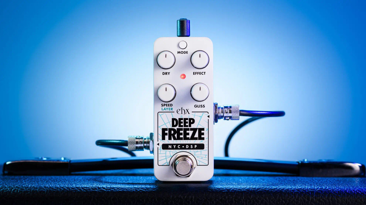 Electro-Harmonix PICO DEEP FREEZE Sound Retainer - Bill's Music