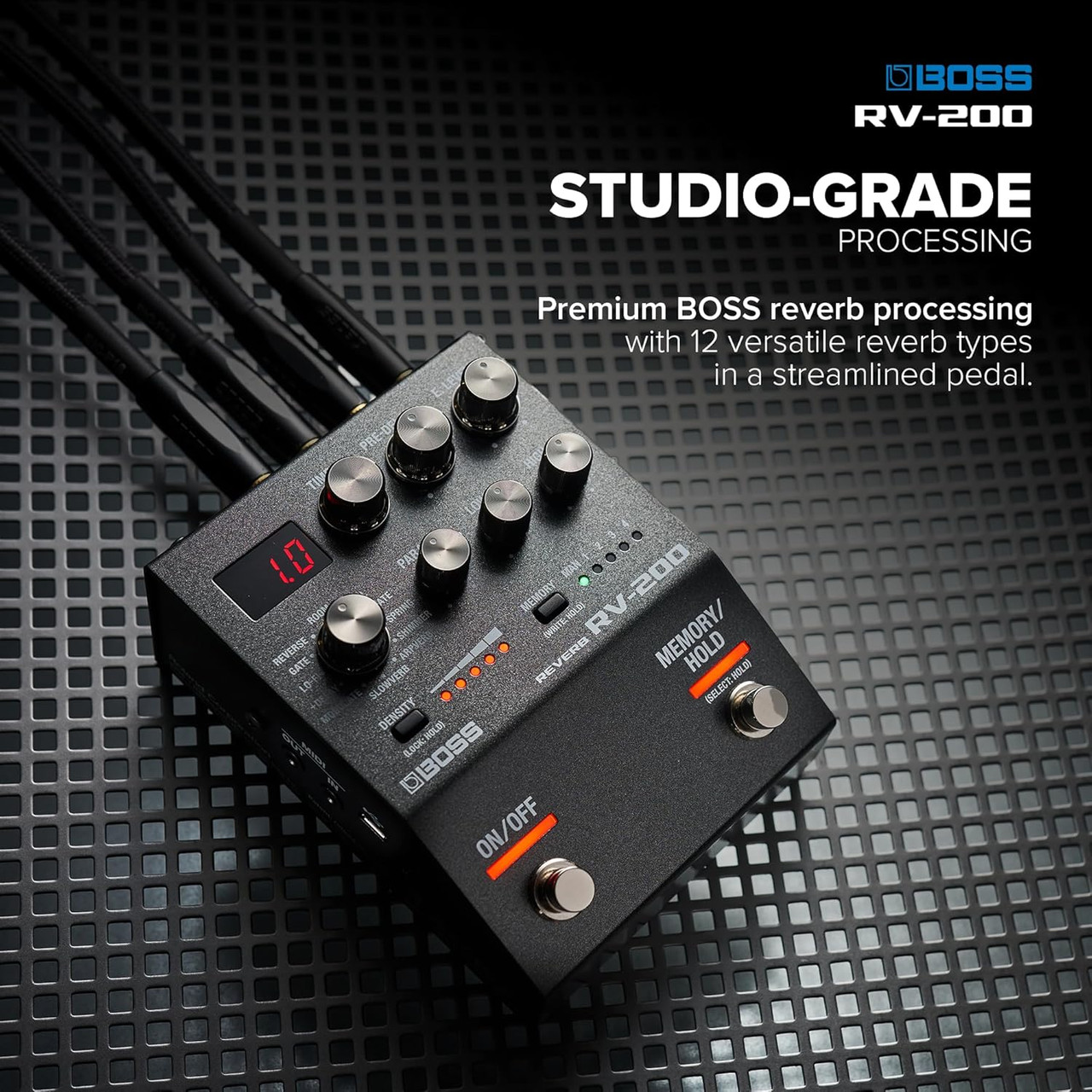 Boss RV-200 Reverb Pedal - Bill's Music