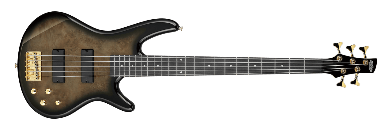 Ibanez Gio SR 5-String Electric Bass Guitar, Transparent Pale