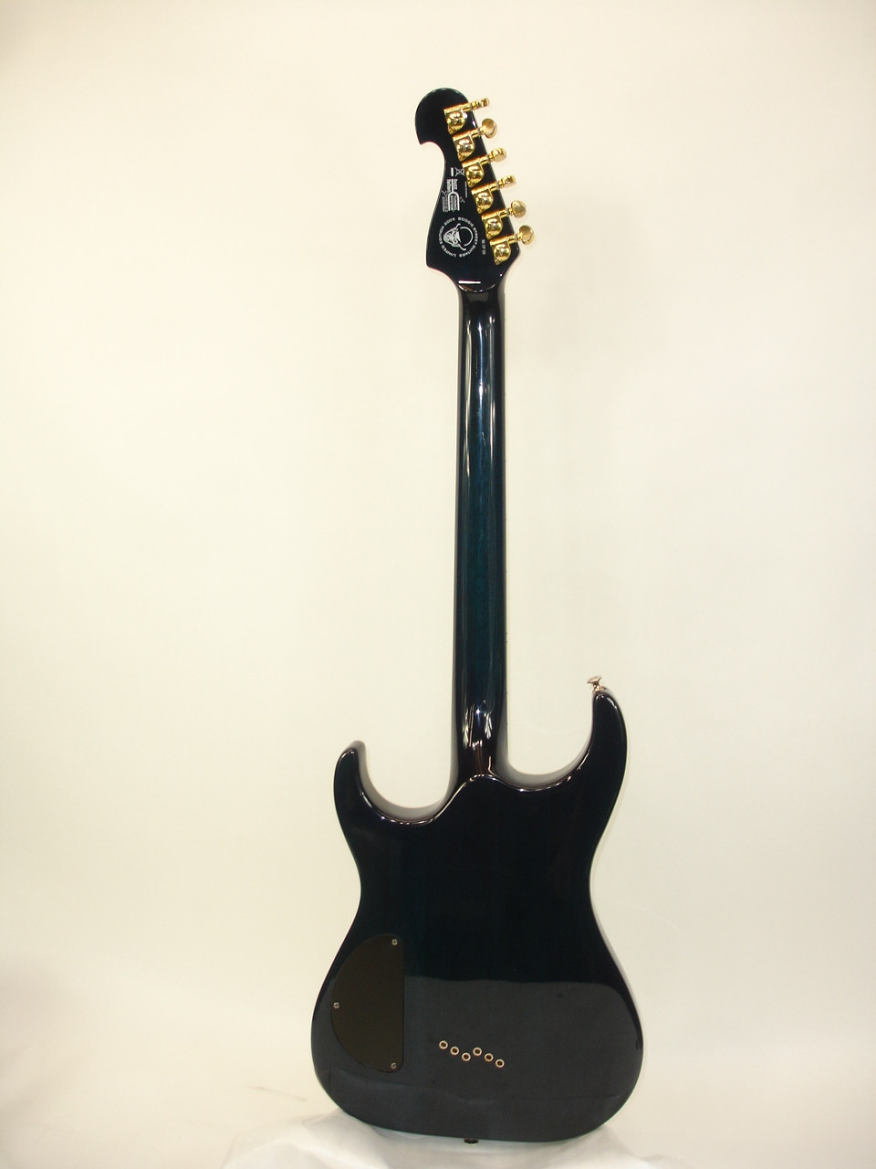 2005 Washburn X-50 PRO ELITE BSG1 Boogie Street Custom Electric