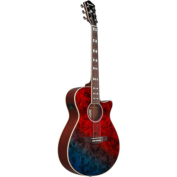 Ibanez AEGA250 USA 250th Anniversary Grand Auditorium Acoustic