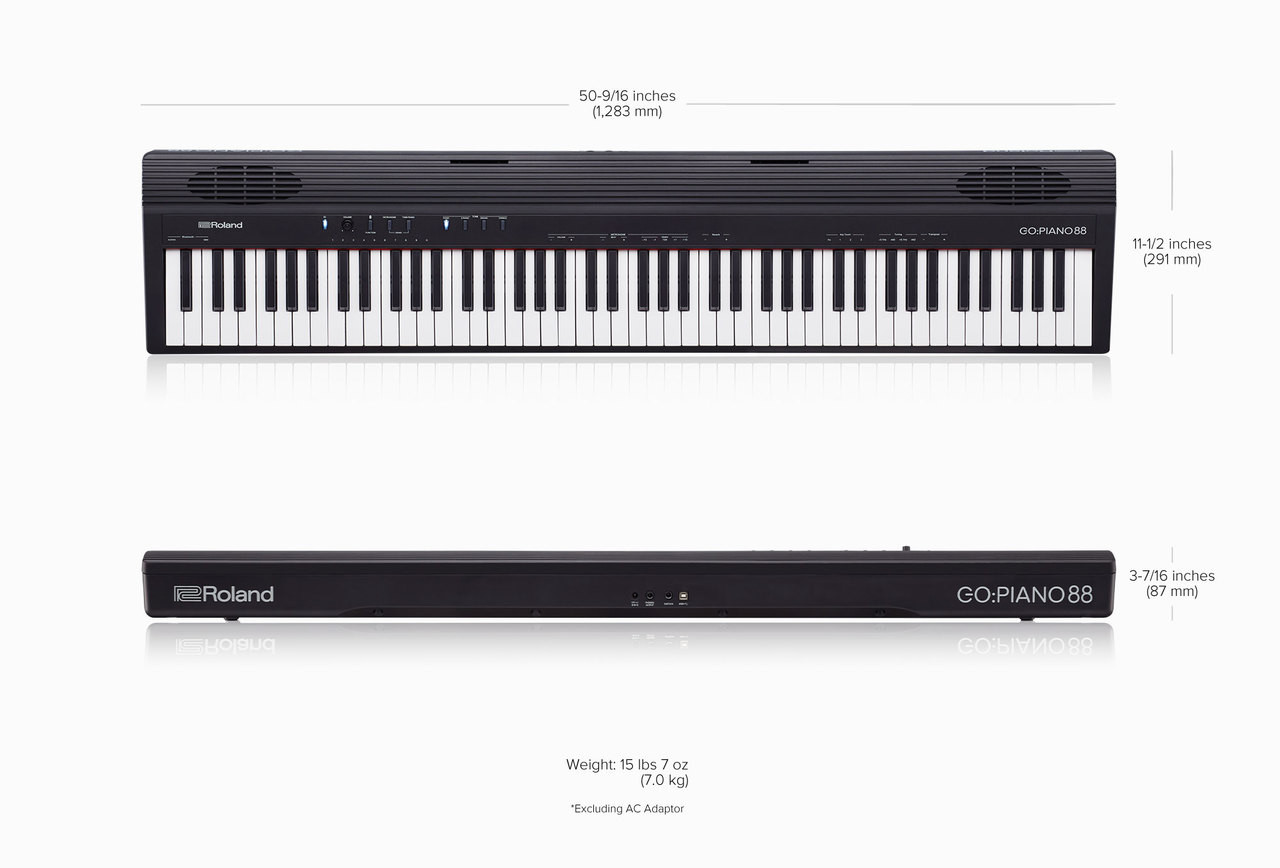 enaguas Requisitos agujero Roland GO:PIANO88 Full-Size Portable 88-Note Piano - Bill's Music