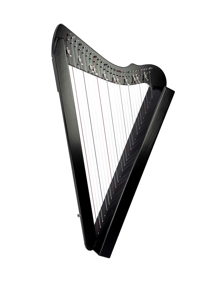 Harpsicle製ハープ　26弦 Rees Harps Flatsicle Harp, 26 Strings, Black Finish, Made in the