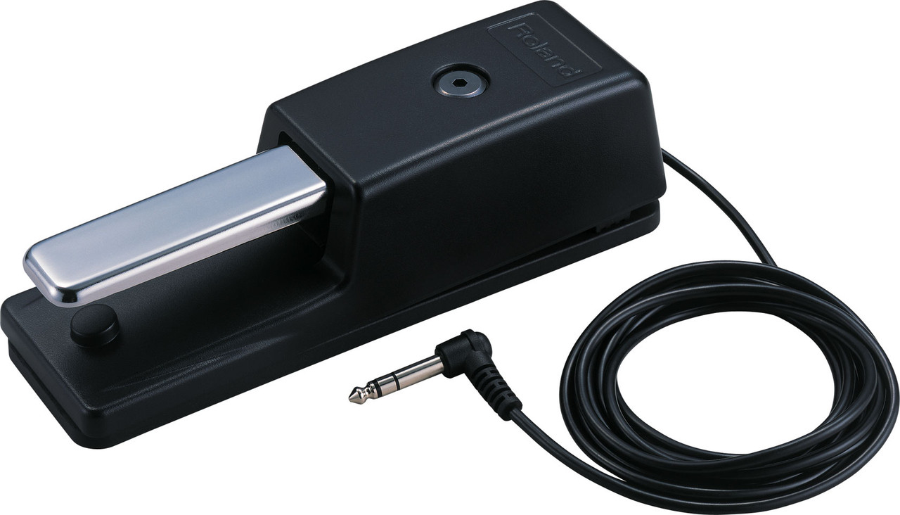 DTM・DAW KOMPLETE KONTROL A49 + Roland DP-10 Roland DP-10 Piano-style Sustain Pedal with Half-damper