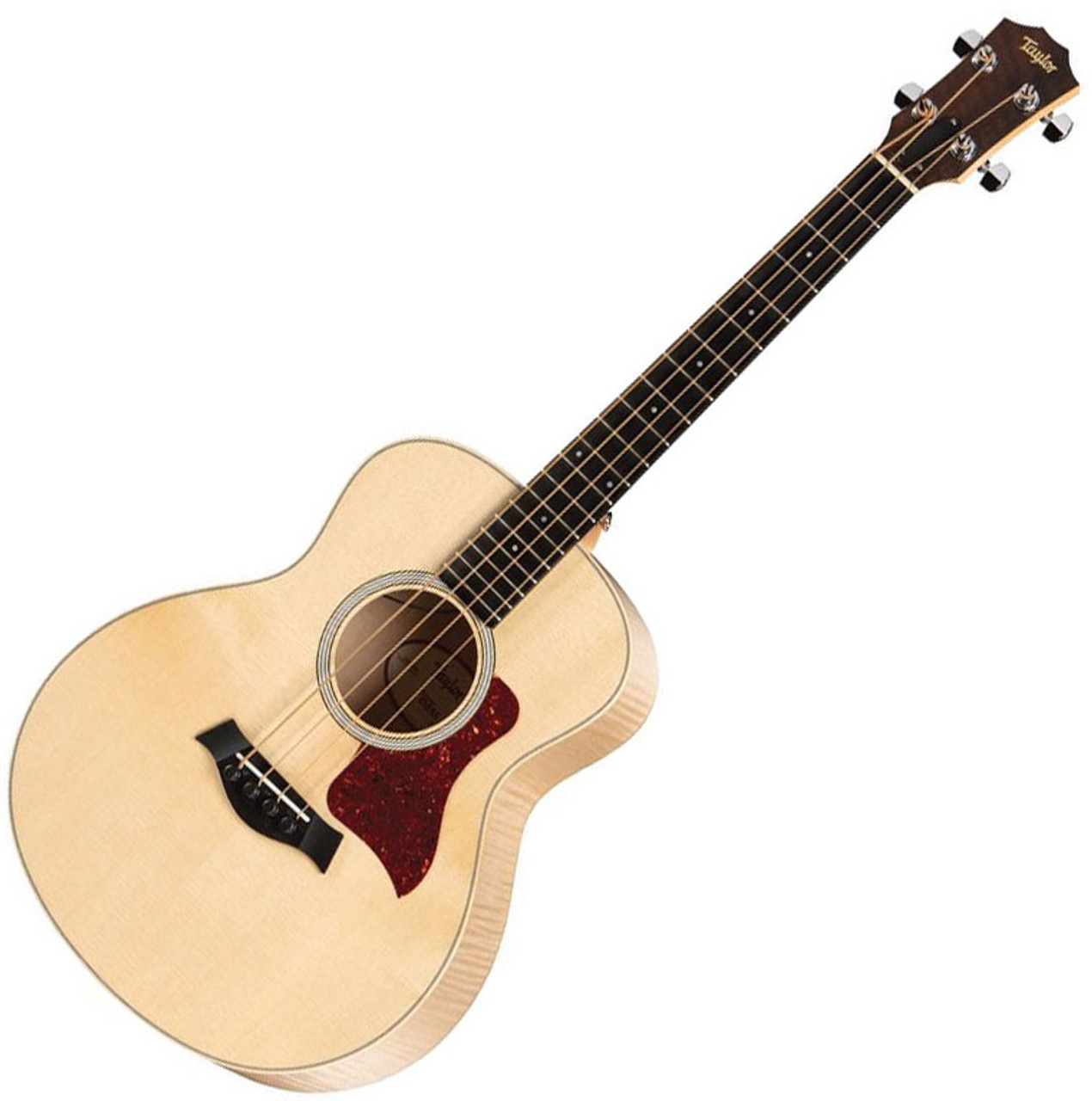 gs mini acoustic bass