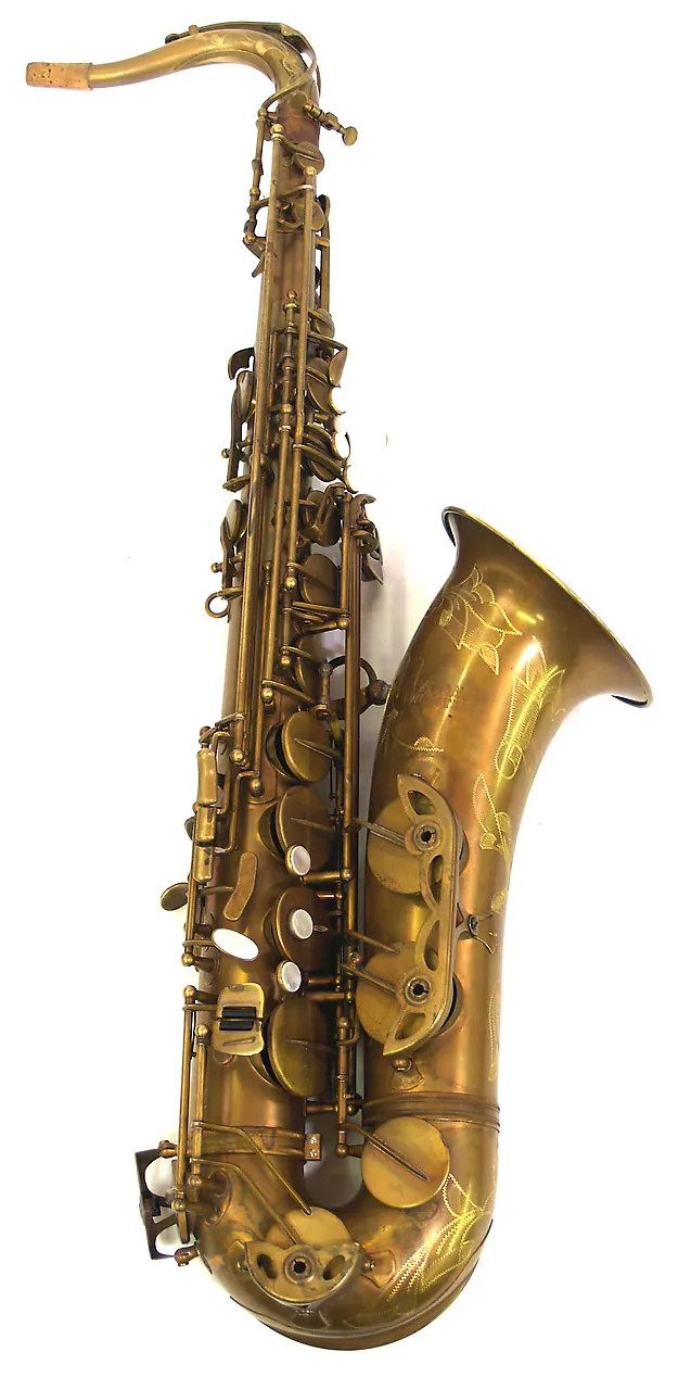e-Sax Type-Ⅱ ES3-AS BEST BRASS e-SAX ES3-AS Silence mute for Alto Saxophone 4511