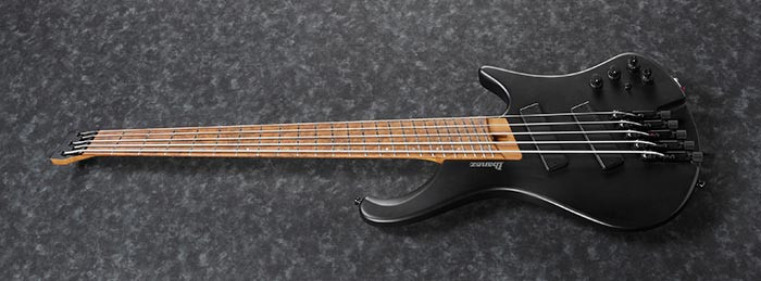Ibanez EHB Bass Workshop 5-String Black Flat w/ Gig Bag - Bill's Music
