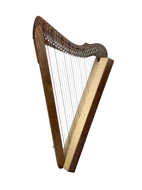Rees Harps Special Edition Fullsicle Harp - Walnut, 26 strings, fully levered, upgraded bass strings