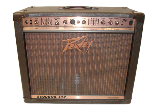 Peavey Ecoustic 112 100-Watt 1x12" Acoustic Combo Amp - Previously Owned