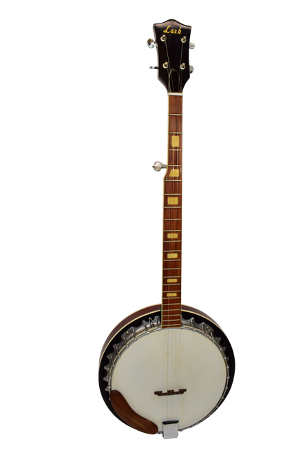 Vintage 70's Lark LBJ-25 Closed Back 5-String Banjo - Previously Owned