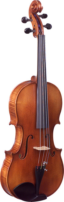 Avalon 1433MP Fine Viola, ebony outfit, with oblong case and bow.
