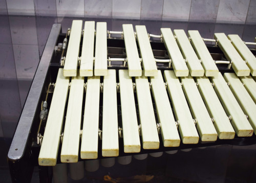 Decatur 2.5 Octave Xylophone with Stand - White - Previously Owned