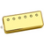 DiMarzio DP242 PG-13 Neck Guitar Pickup - Gold with Gold Pole Pieces