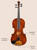 Eastman 4/4 Student Series+ Violin Outfit, Series+ Pickup System Bow, and  Cordura Nylon Case