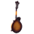The Loar LM-590 Contemporary Mandolin, F-Style, All Solid Hand Carved, Tobacco Sunburst